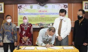 Maksimalkan Lahan Pertanian