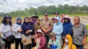 GBA Pilot Projek Food Estate Seluas 100 Hektare