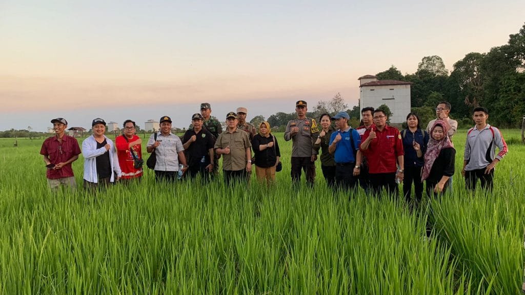 Pj Bupati Tinjau Lahan Pesawahan di Desa Damparan