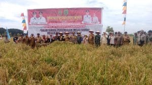 Wagub Dan Pj Bupati Panen Raya