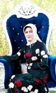 Dewan Dorong Pembangunan Pro Rakyat