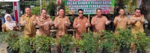 Hermon Hadiri Panen Perdana Tanaman Cabe