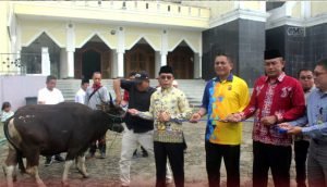 Pemkab Mura Salurkan Puluhan Sapi Kurban