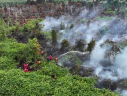 BPBD Kobar Padamkan 7 Hektar Lahan Terbakar di Kecamatan Kumai