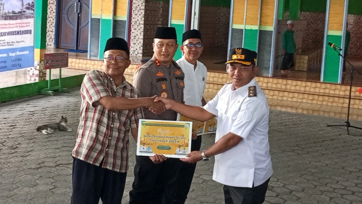 pemkab-barsel-distribusikan-125-ekor-sapi-qurban-sambut-hari-raya-idul-adha-1446-h