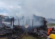 Kebakaran Hebat di Desa Danau Sadar Empat Bangunan Ludes Dilahap Si Jago Merah