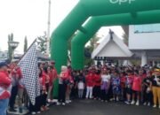 Jalan Sehat Peringati Hari Pahlawan, Ribuan Warga Barsel Antusias Hadir