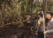 Kapolres Dan Wabub Pimpin Padamkan Titik Api Di Masimpun Desa Kalahien