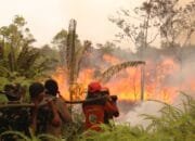 Kapolres Pimpin Langsung Pemadaman Karhutla