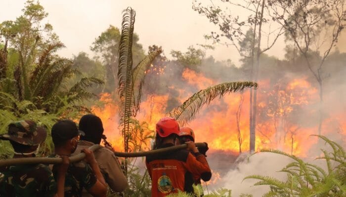 Kapolres Pimpin Langsung Pemadaman Karhutla